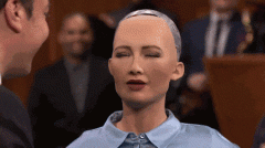 <b>人的手、脚等身体器官的延长和替代</b>